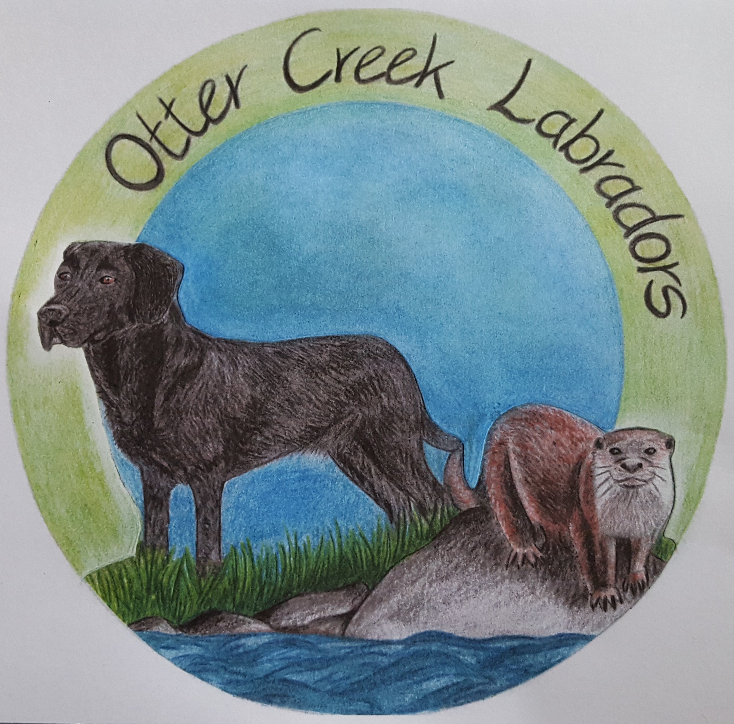 Mary Degroot: Otter Creek'S Unexpected Heritage - 7np5zh4